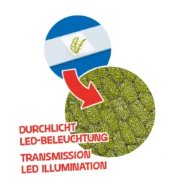 LED Kindermikroskop, 40X-640X - inkl. Zubehör