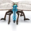 Libelle (L: 6,5 cm)