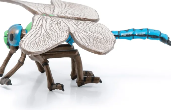 Libelle (L: 6,5 cm)
