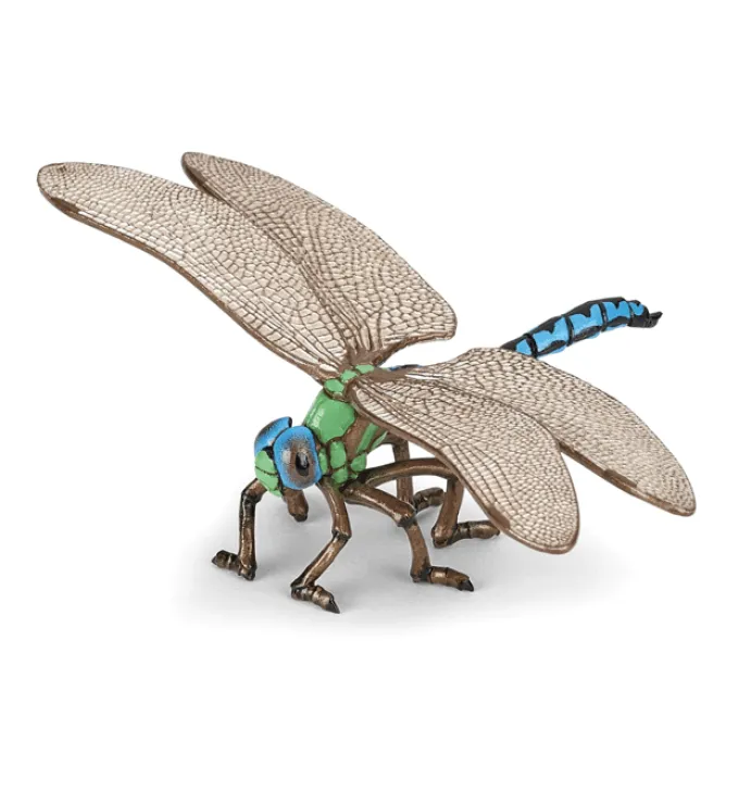 Libelle (L: 6,5 cm)