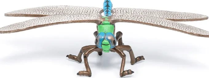 Libelle (L: 6,5 cm)
