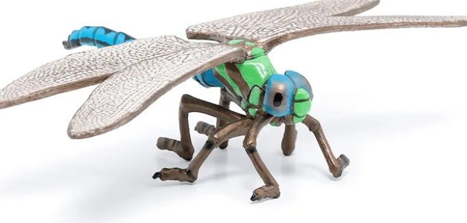 Libelle (L: 6,5 cm)