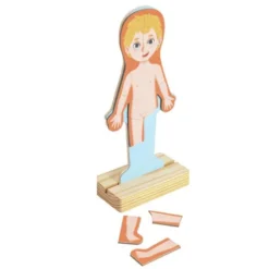 Magnetisches Puzzle - Der menschliche Körper