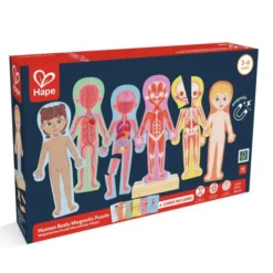 Magnetisches Puzzle - Der menschliche Körper