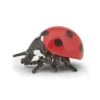 Marienkäfer (L: 3,2 cm)