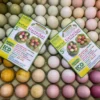 Naturfarben für Eier - 5 Farben