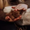 Plüschhund mit zwei Welpen