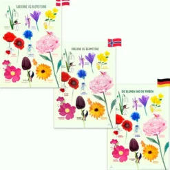 Poster 50 x 70 cm - Die Blumen und die Farben