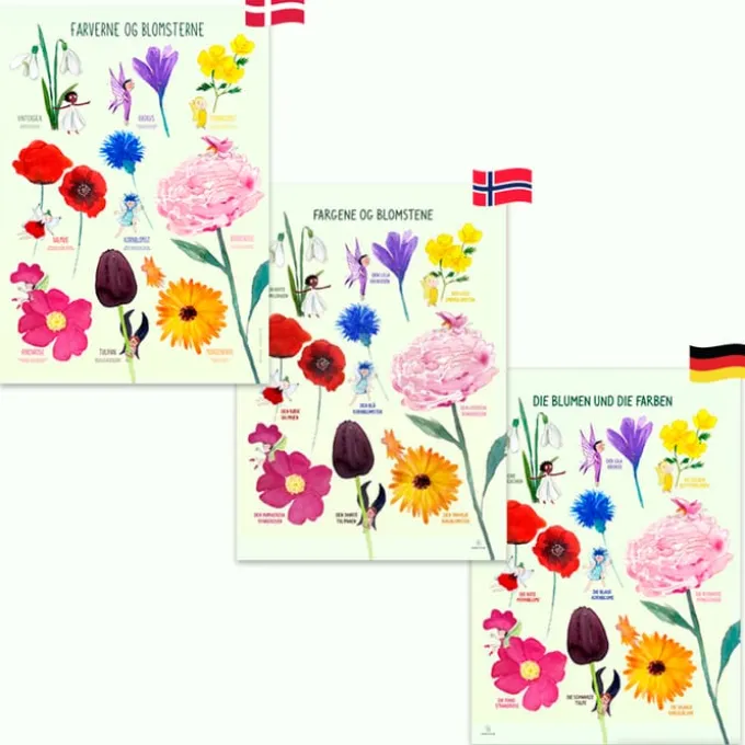 Poster 50 x 70 cm - Die Blumen und die Farben