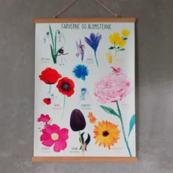 Poster 50 x 70 cm - Die Blumen und die Farben