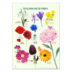 Poster 50 x 70 cm - Die Blumen und die Farben