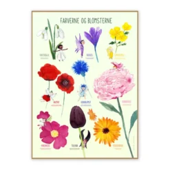Poster 50 x 70 cm - Die Blumen und die Farben