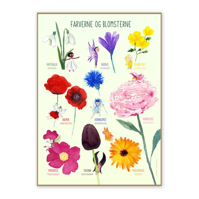 Poster 50 x 70 cm - Die Blumen und die Farben