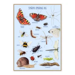 Poster 50 x 70 cm - Kleine Tiere in der Natur