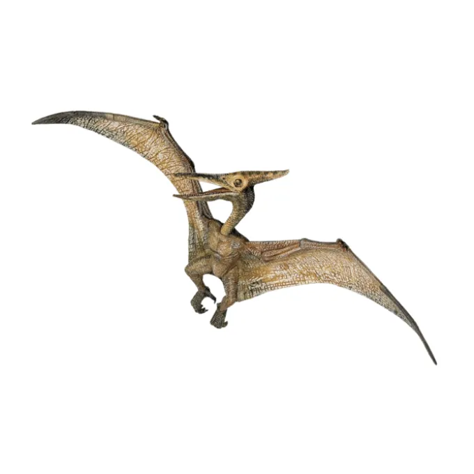 Pteranodon - L: 23 cm