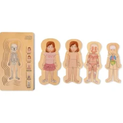 Puzzle - Anatomie Mädchen