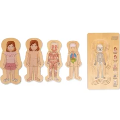 Puzzle - Anatomie Mädchen