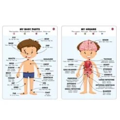 Puzzle Boden - 36 Teile - Junge