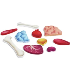 Puzzle 50 Teile - Mein Körper, m. 3D-Organen
