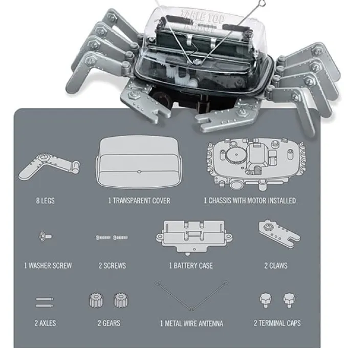 Roboterkrabbe