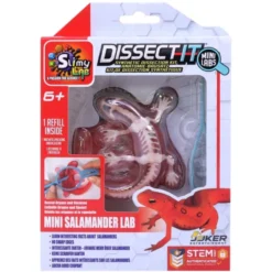 Salamander sezieren