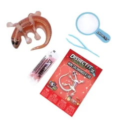 Salamander sezieren