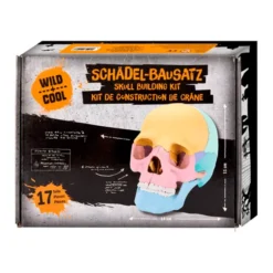 Schädel - Bausatz, 17 Teile