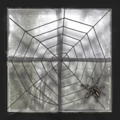 Schwarzes Spinnennetz Ø150 cm