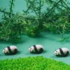 Sensorikflasche m. Sound - Panda