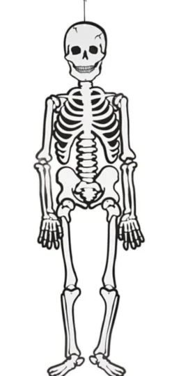 Skelett aus Karton - Glow in the Dark, 120 cm