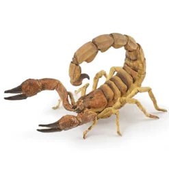 Skorpion (L: 10,5 cm)