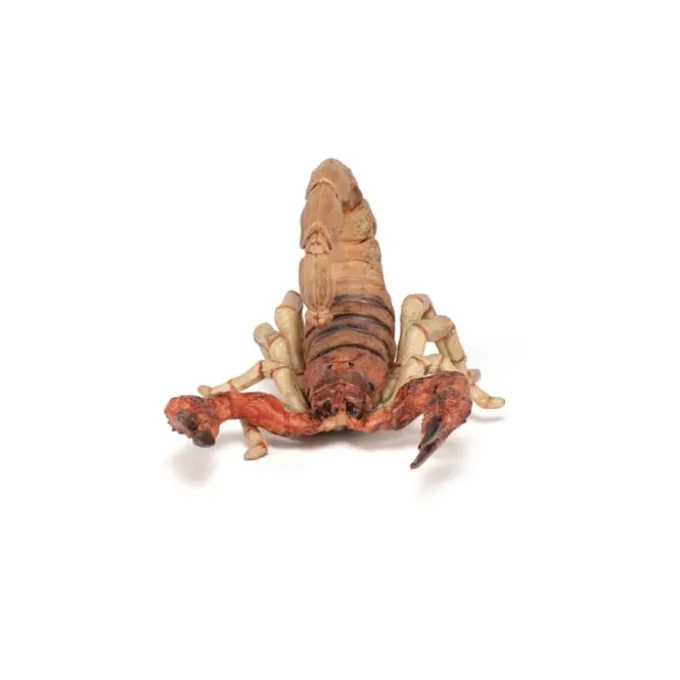 Skorpion (L: 10,5 cm)