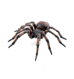 Spinne (L: 6,3 cm)