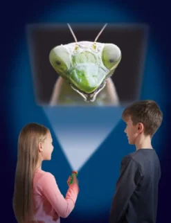 Taschenlampenprojektor - Insekten