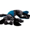 Therapiehund - 2 kg