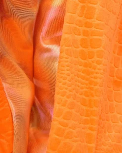 Tintenfisch, 2-4 Jahre