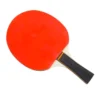 Tischtennisschläger - 1 Stk.