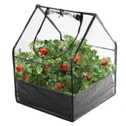 Treibhaus Mini - 85 x 65 x 65 cm