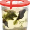 Vergrößerungsglas mit Griff -Ø 9,5 cm