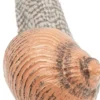 Weinbergschnecke (L: 6 cm)