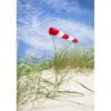 Windsack - 60 cm