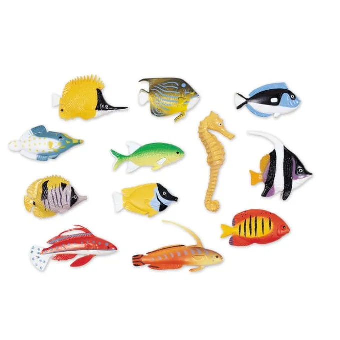 Zähle & Sortiere - Fische, 60-teilig